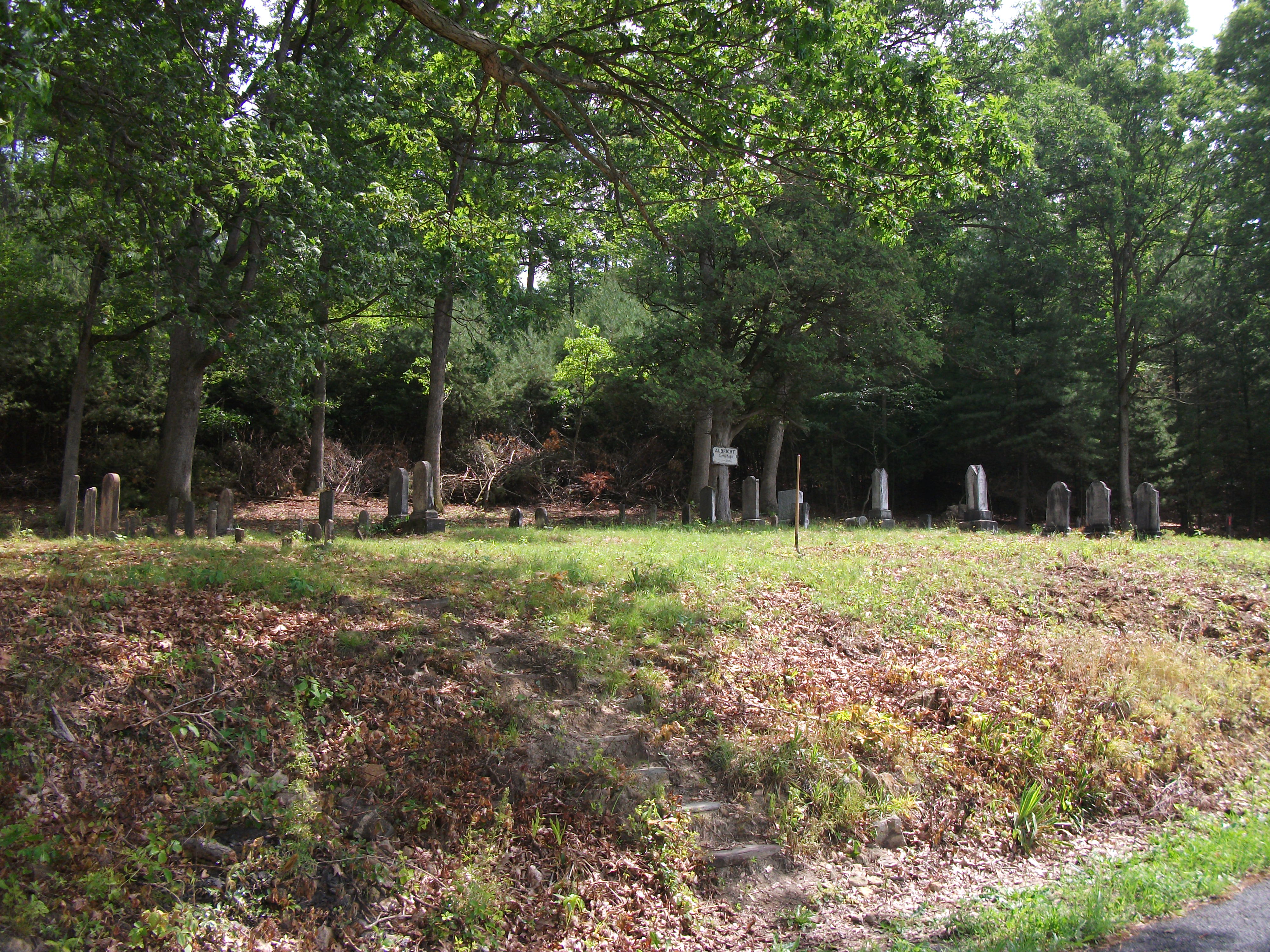 Albright Cemetery 6/2010